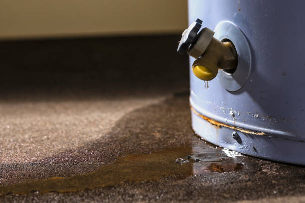 Best Water damage cleanup near me  in Richfield, OH