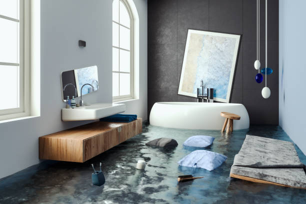 Best Professional water damage repair  in Richfield, OH
