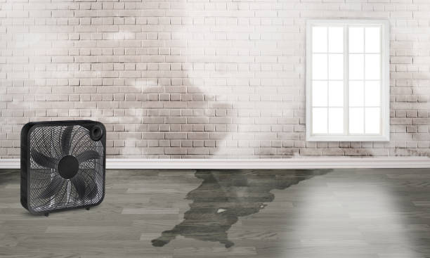 Best Professional water damage repair  in Richfield, OH