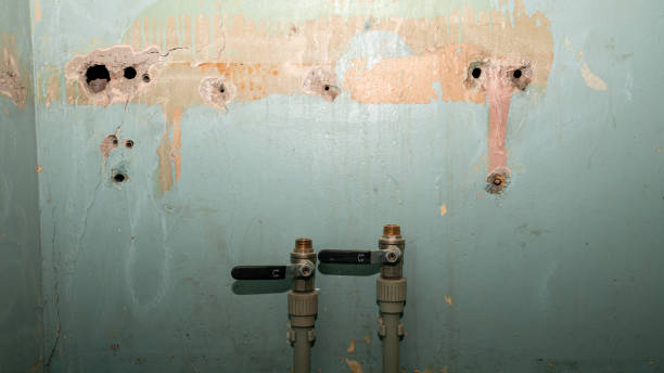 Best Flooded house restoration  in Richfield, OH