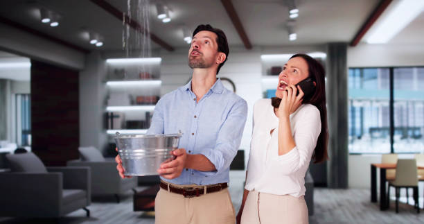 Best Ceiling water damage repair  in Richfield, OH